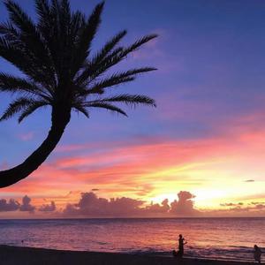 面费黄色毛片不用播放器播放
