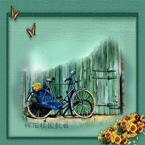 面费黄色毛片不用播放器播放
